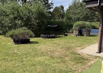 grass.jpg